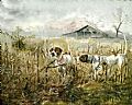Sporting and Working Dogs - Nature Art by Taylor White